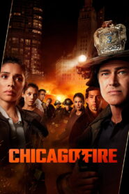 Chicago Fire: Heróis Contra o Fogo: Season 15